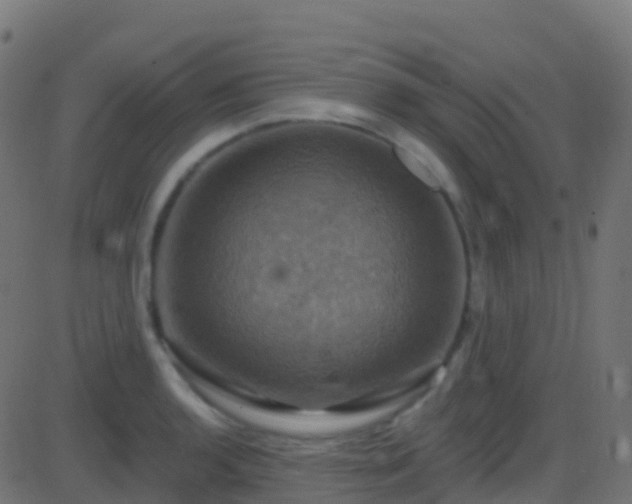 X0000086221136200704051233