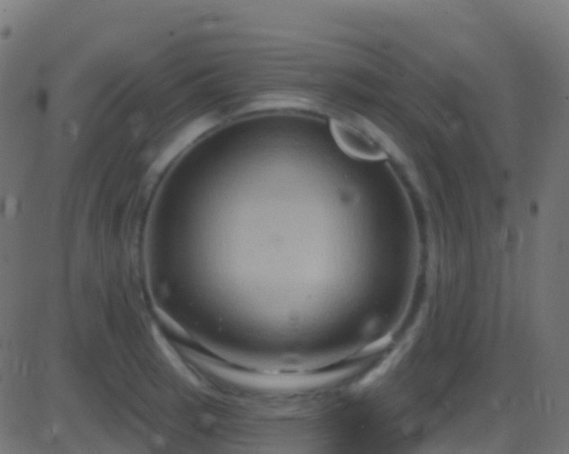 X0000086221137200704051233