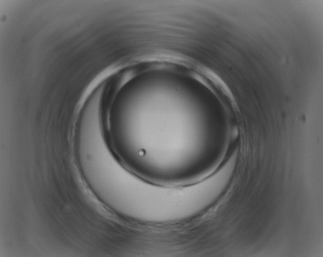 X0000086221138200704051233