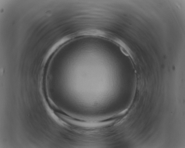 X0000086221139200704051233