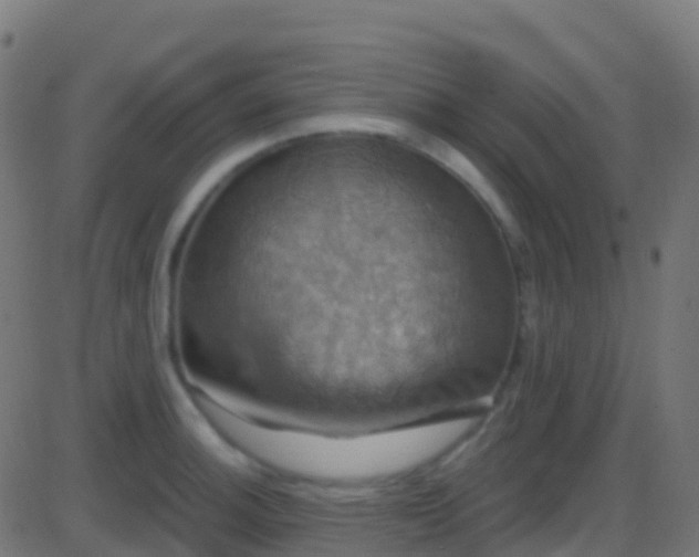 X0000086221140200704051233