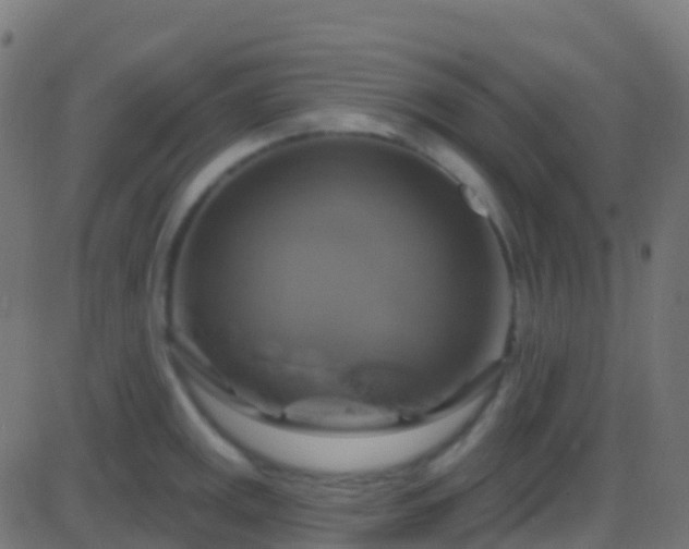 X0000086221141200704051233