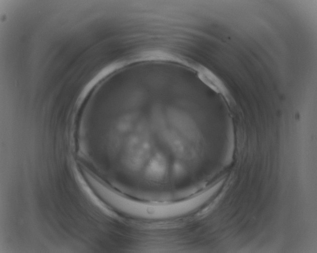 X0000086221142200704051233