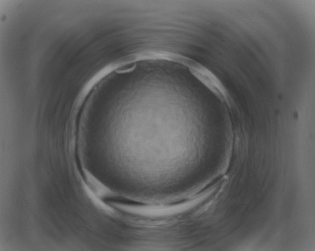 X0000086221143200704051233