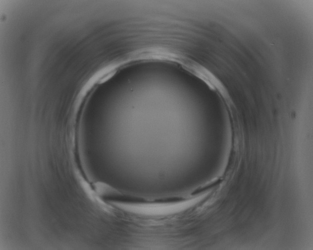 X0000086221144200704051233