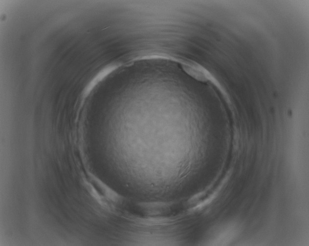 X0000086221145200704051233