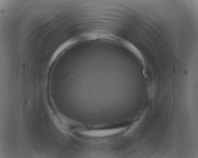 X0000086221146200704051233