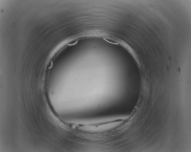 X0000086221147200704051233