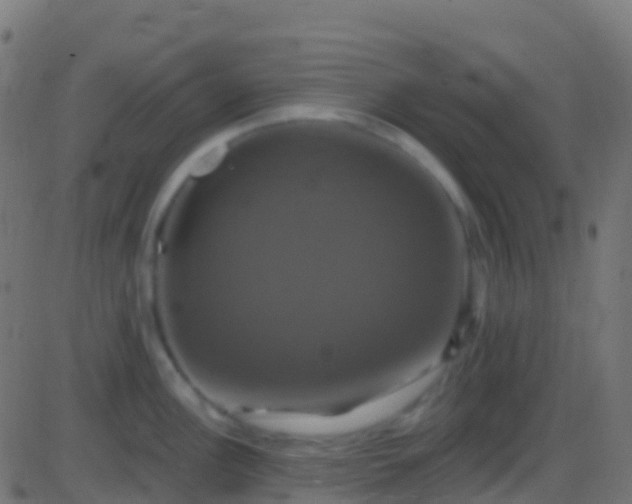 X0000086221148200704051233