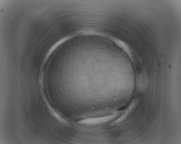 X0000086221149200704051234