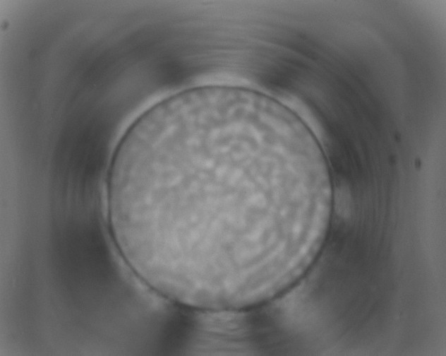 X0000086221150200704051234