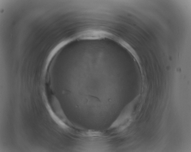 X0000086221152200704051234