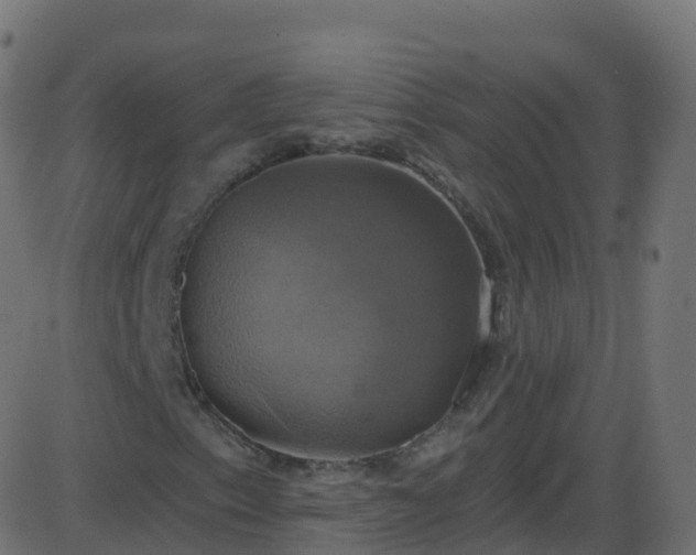 X0000086221153200704051233