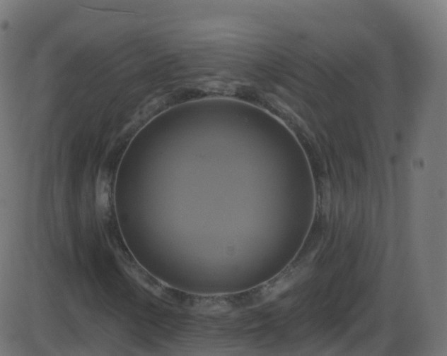 X0000086221154200704051233