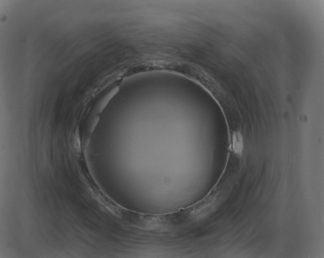 X0000086221155200704051233