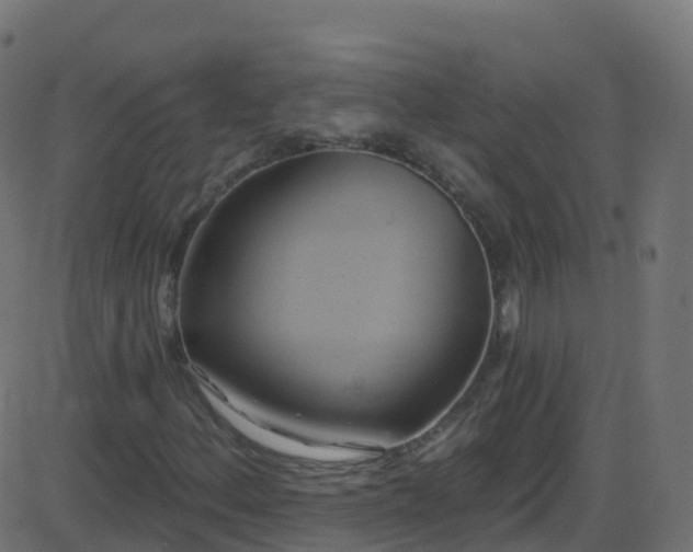 X0000086221156200704051233