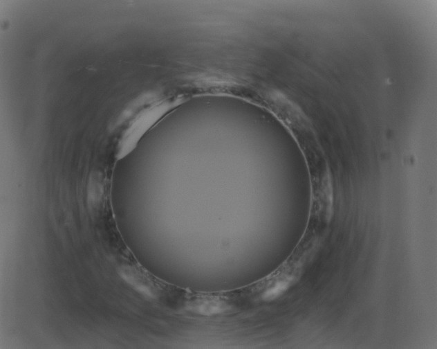 X0000086221157200704051233