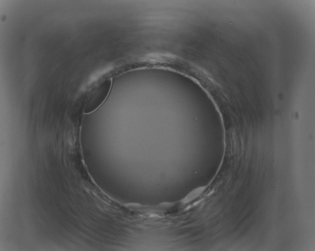 X0000086221158200704051233