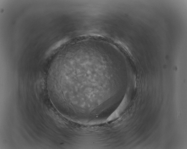 X0000086221159200704051233