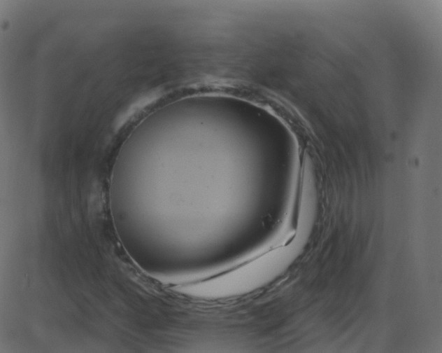 X0000086221160200704051233