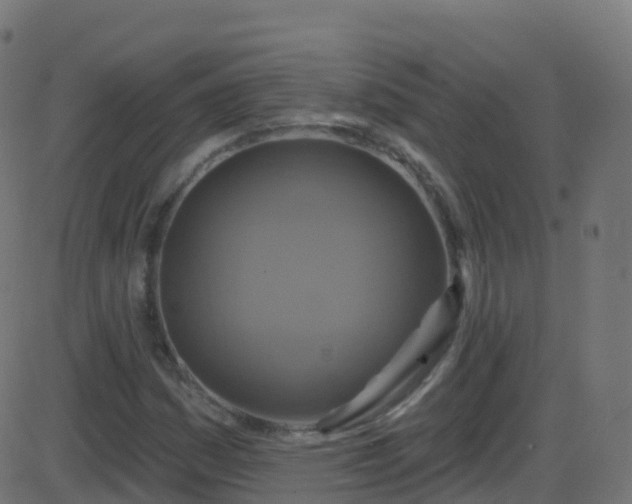 X0000086221161200704051233