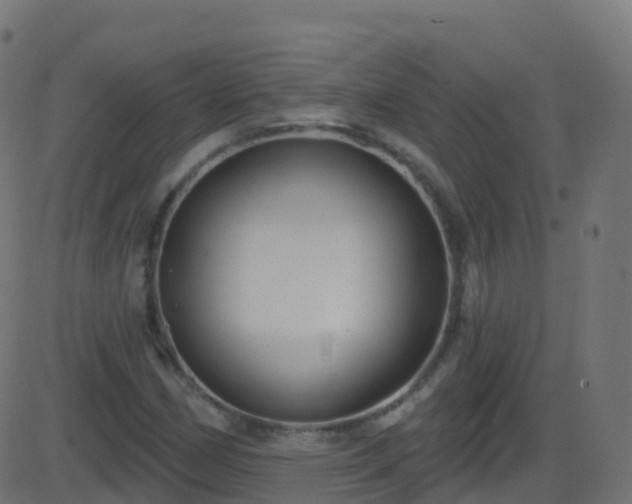 X0000086221162200704051233