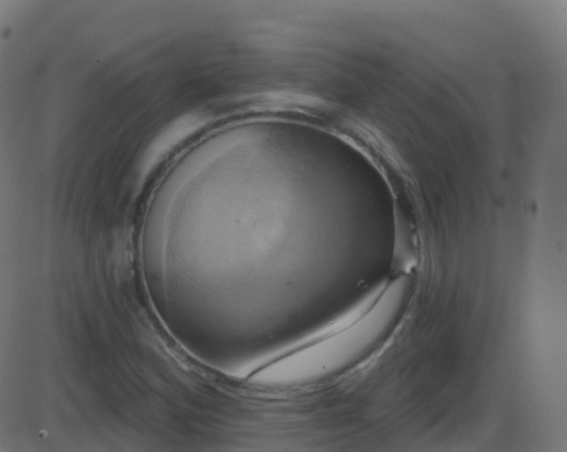 X0000086221164200704051233