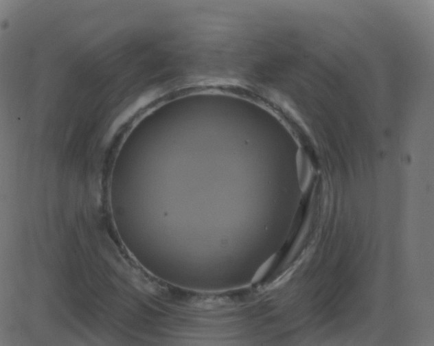 X0000086221165200704051233