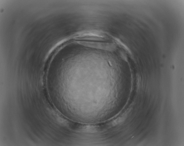 X0000086221166200704051233