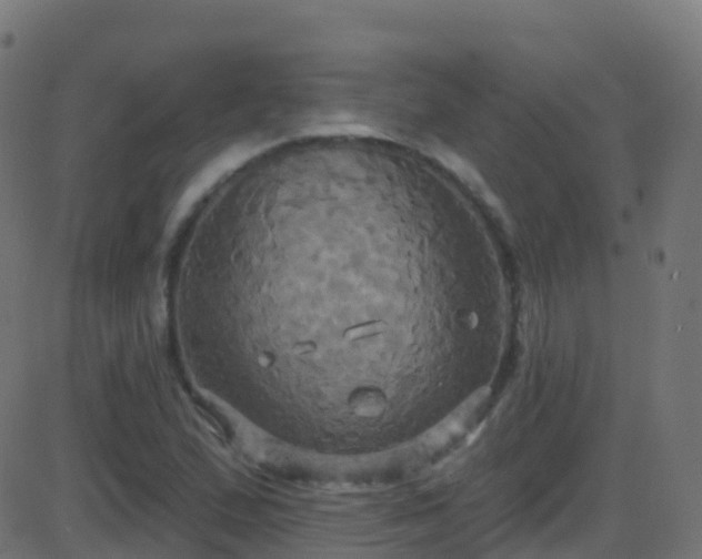 X0000086221167200704051233