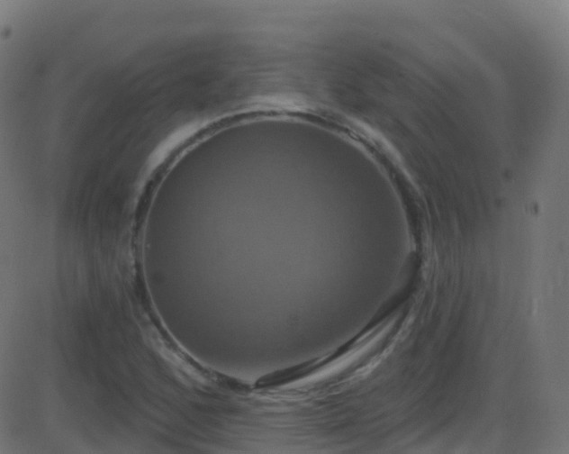 X0000086221168200704051232