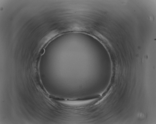 X0000086221170200704051232