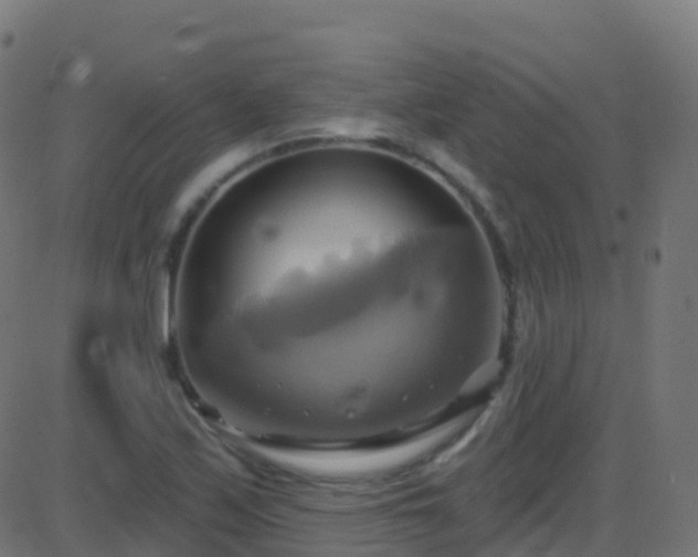 X0000086221171200704051232