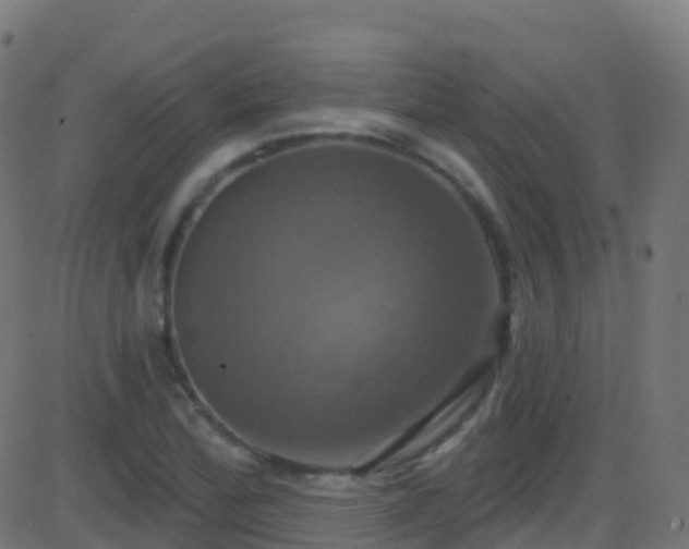 X0000086221172200704051232