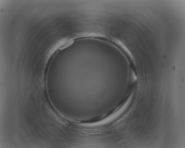 X0000086221173200704051232