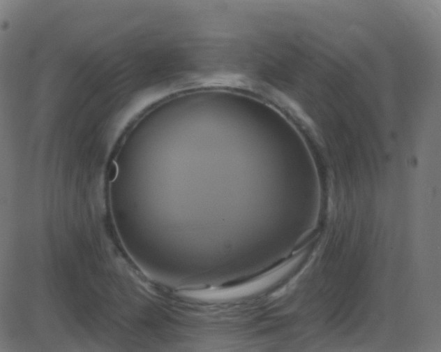 X0000086221174200704051232