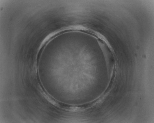 X0000086221176200704051232