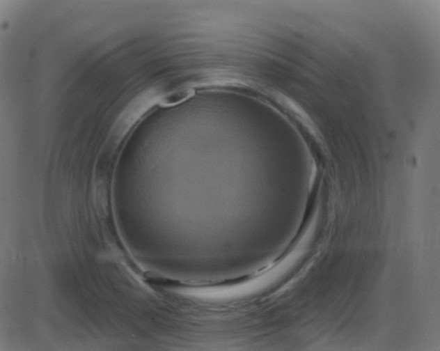 X0000086221177200704051232