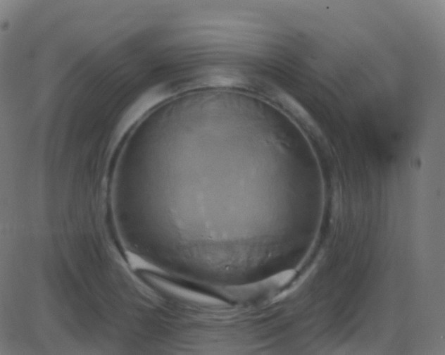 X0000086221178200704051232