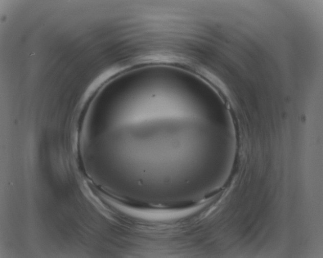 X0000086221179200704051232