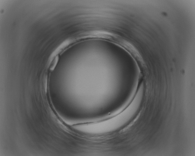 X0000086221180200704051232