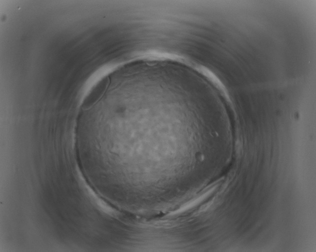 X0000086221183200704051232