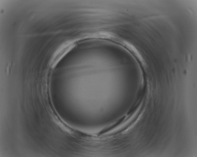 X0000086221184200704051232