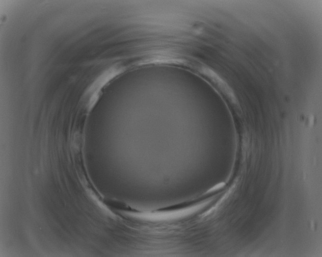 X0000086221185200704051232