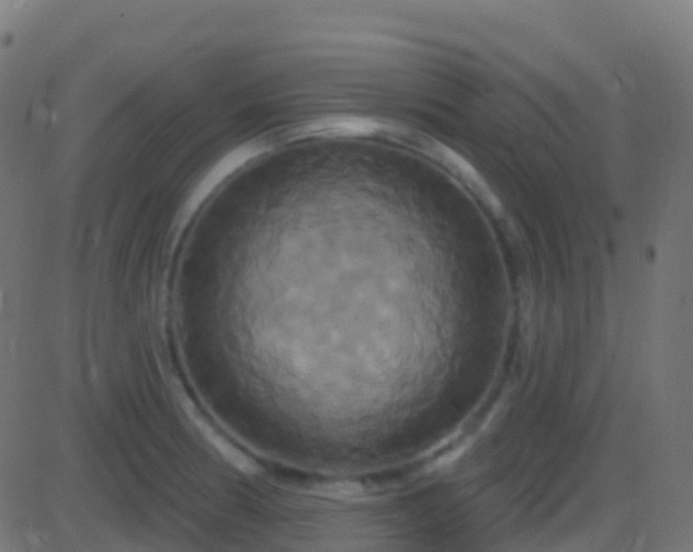 X0000086221186200704051232