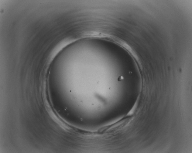 X0000086221187200704051232