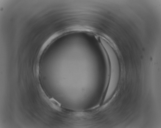 X0000086221188200704051232