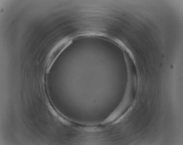 X0000086221189200704051232