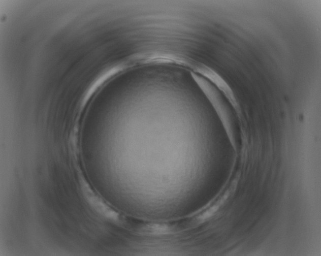 X0000086221190200704051232