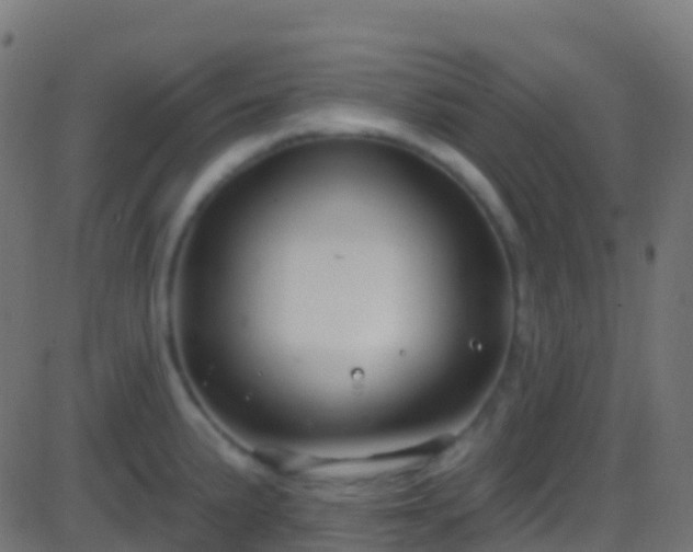 X0000086221191200704051232